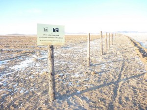 Assistance in fencing the Sea Buckthorn Plantation in Buutsagaan Soum of Bayankhongor Aimag