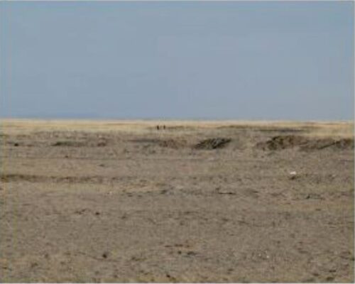 Waste dumpsite clean-up in Baatsagaan Soum of Bayankhongor Aimag