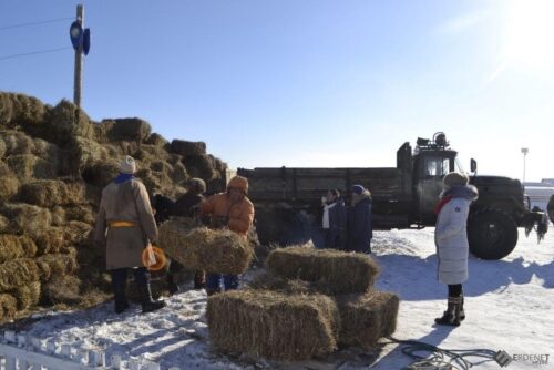 Winter feed supply to herders of Bumbugur Soum of Bayankhongor Aimag