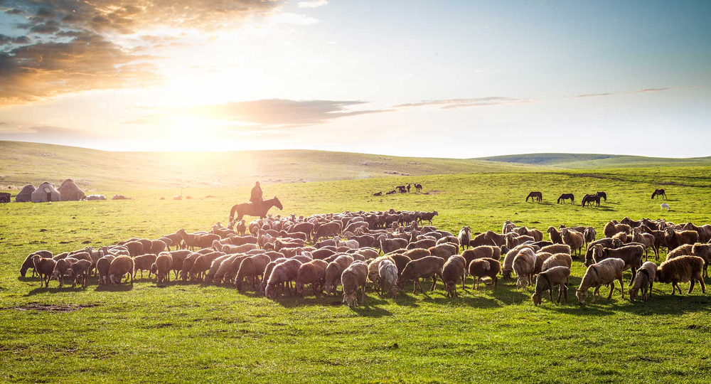 Contributions to sustaining livelihood in Baruunbayan-Ulaan Soum of Uvurkhangai Aimag